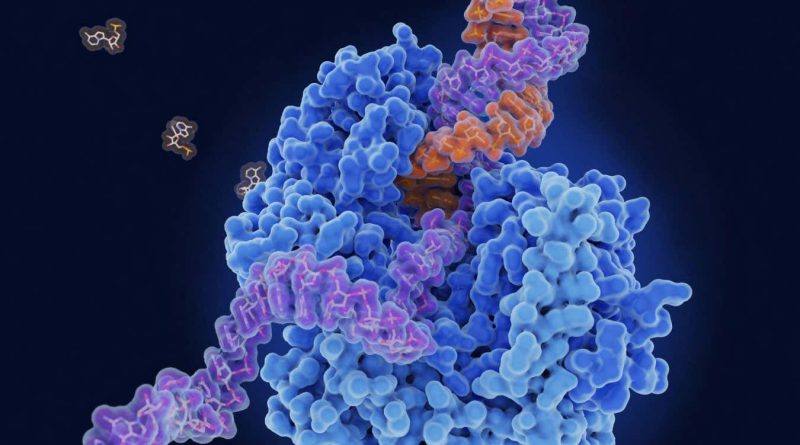 Multipurpose anti-viral pill may treat colds, norovirus, flu and covid