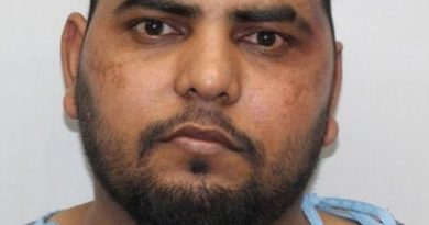 Illegal immigrant charged in deadly 124 mph chase that killed pregnant teen, unborn child