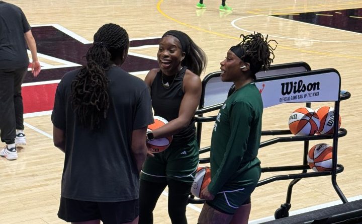 More Than a Final Score: D’Tigress, Identity, and the Next Wave of Nigerian Basketball
