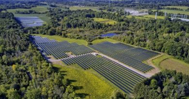 Renewable Properties buys 118MW US-made First Solar modules