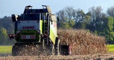 Corn Posting Gains to Round Out the Week