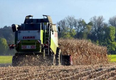 Corn Posting Gains to Round Out the Week