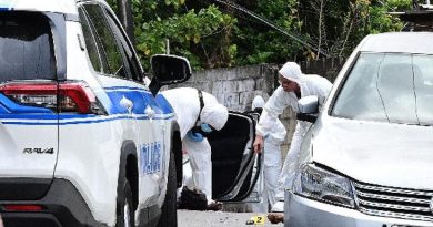 Mom still critical after deadly ambush on family | Local News | trinidadexpress.com