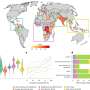 Heat vulnerability follows more than temperature, and this global map exposes the overlooked fault lines