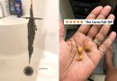 41 Products That Are Strong On Results, And Have Photos To Prove It 41 Products That Are Strong On Results, And Have Photos To Prove It