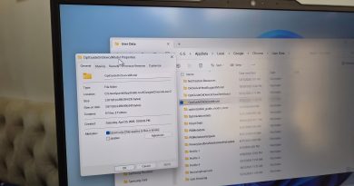 Chrome installed a 4GB AI model on my computer without asking me — I can’t remove it