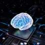 Lab-grown brain organoids power biocomputers Lab-grown brain organoids power biocomputers