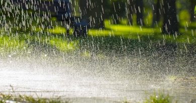Rain and Thunderstorms Expected in Several Parts of Pakistan