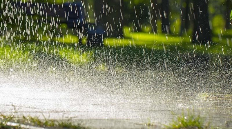 Rain and Thunderstorms Expected in Several Parts of Pakistan