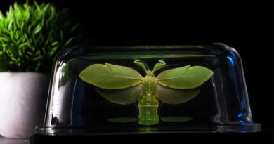 Viral TikTok Shows How To Make Your Phone Project A Hologram Illusion – And It Actually Works