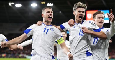 How 40-year-old Edin Dzeko defied the odds to lead Bosnia back to World Cup, Schalke back to Bundesliga