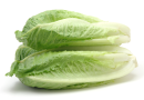 Publisher’s Platform: What the FDA did not want you to read about the November 2024 romaine E. coli outbreak