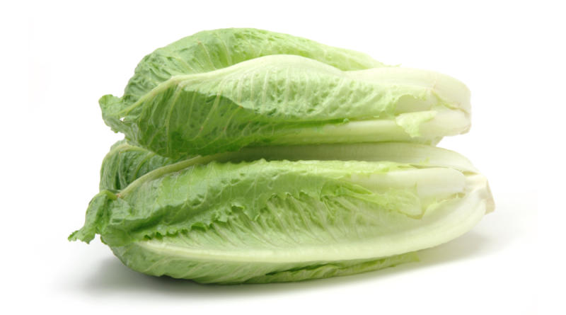 Publisher’s Platform: What the FDA did not want you to read about the November 2024 romaine E. coli outbreak