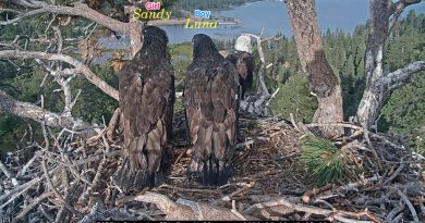 Jackie and Shadow’s chicks’ genders revealed: It’s a boy…and a girl!